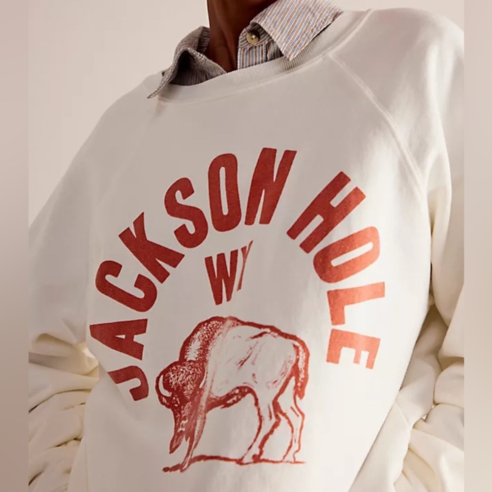free people jackson hole crewneck swearshirt